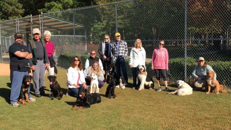 Carolina Dog Training Pack Walk Trained by Elaine™
