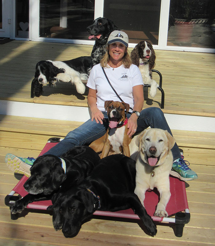 Carolina Dog Training, LLC - canine dog trainer obedience tricks behavior leadership
