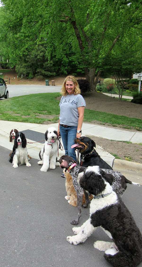 Carolina Dog Training Pack Sitters Trained by Elaine dog canine puppy training walking