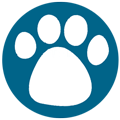 dog training paw icon