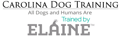 Carolina Dog Training Holly Apex Elaine logo